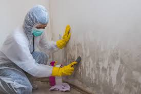 Asbestos and Lead Testing During Mold Inspection in Pelion, SC